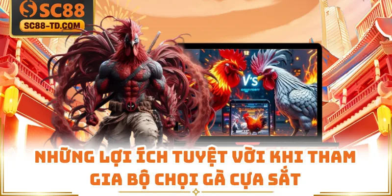 Những Lợi Ích Tuyệt Vời Khi Tham Gia Bộ Chọi Gà Cựa Sắt